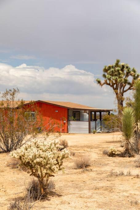 Cryptic Cabin-Tranquil Bohemian Getaway W/Hot Tub Yucca Valley Eksteriør billede